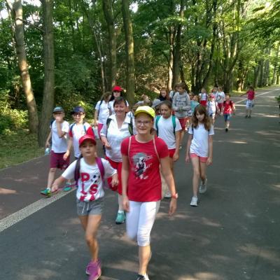 Wp 20180619 08 41 19 Pro
