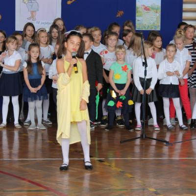 Img 7861