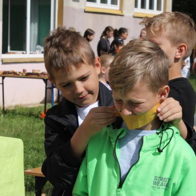 Img 1094