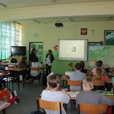 Img 4591