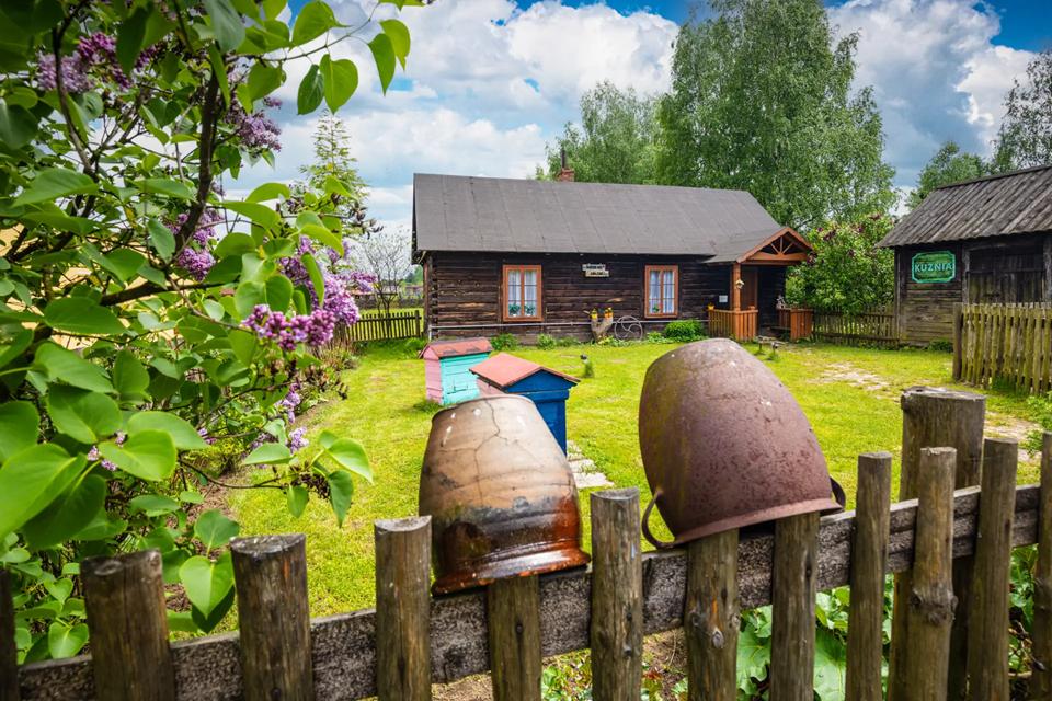 Klasy 2a i 2c w Agroskałce!