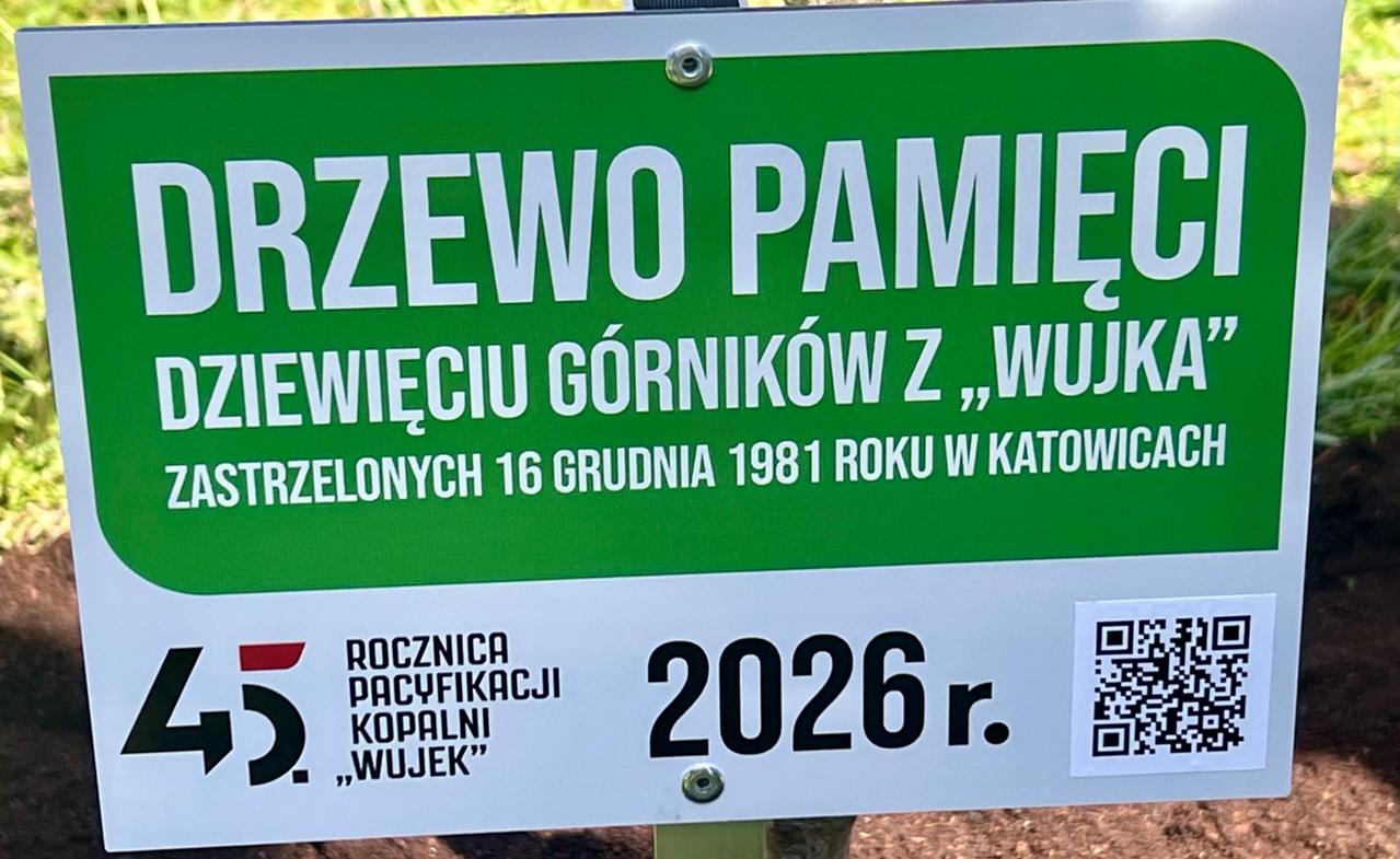 DRZEWO PAMIĘCI