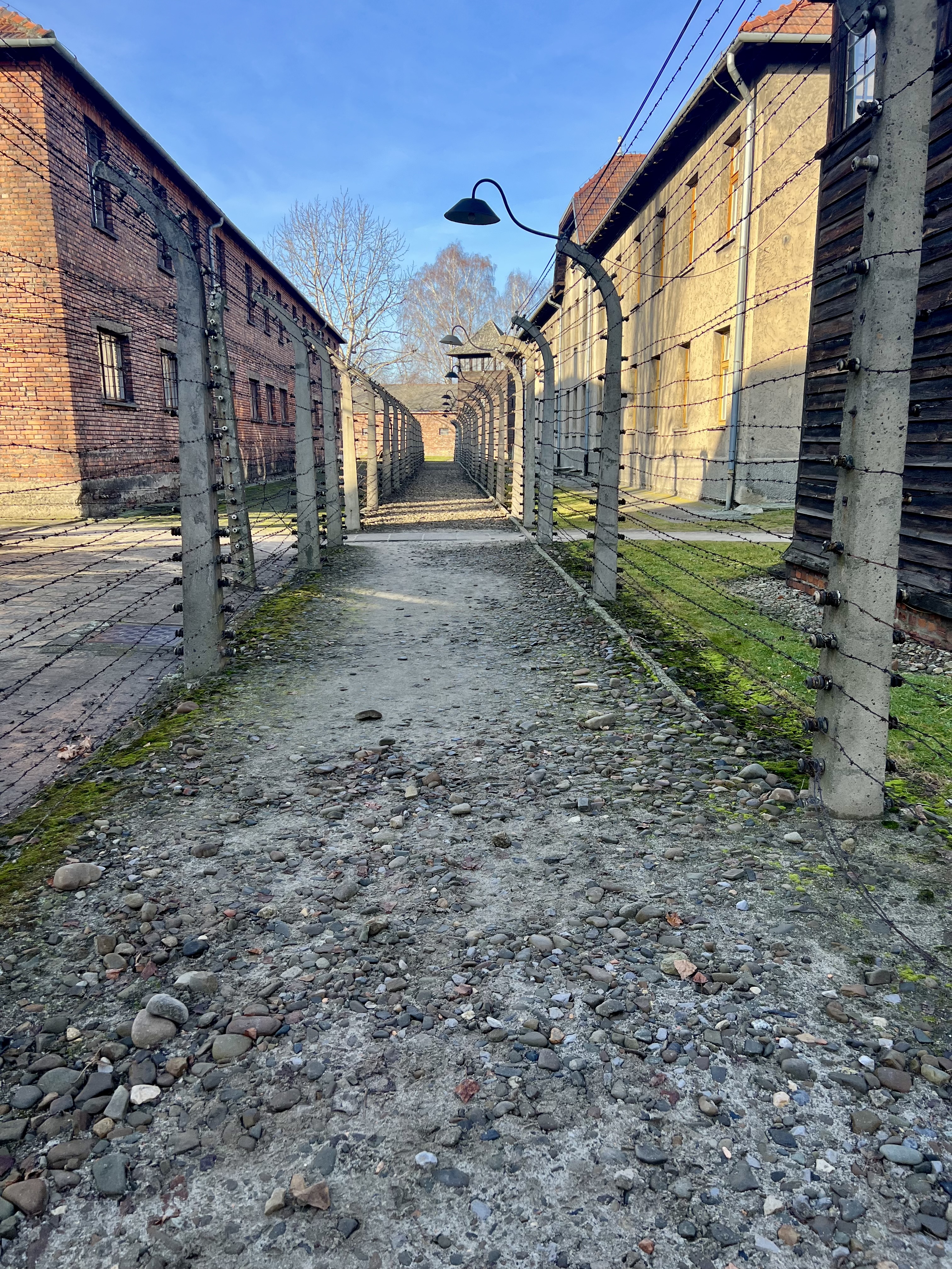 WIZYTA W MUZEUM I MIEJSCU PAMIĘCI AUSCHWITZ - BIRKENAU
