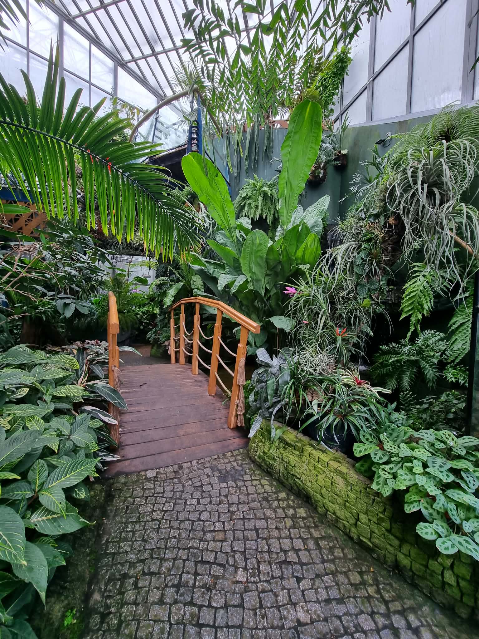 WYCIECZKA DO PALMIARNI W GLIWICACH